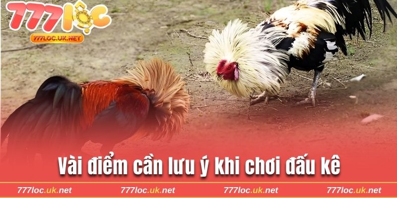 3 điểm cần lưu ý khi chơi giúp hạn chế rủi ro
