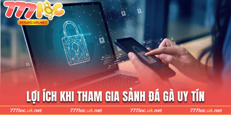 Lợi ích của việc trải nghiệm các sảnh cược đá gà uy tín